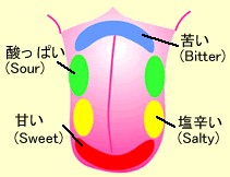 味覚2