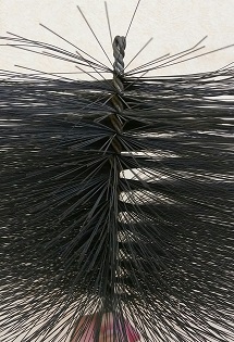 本体