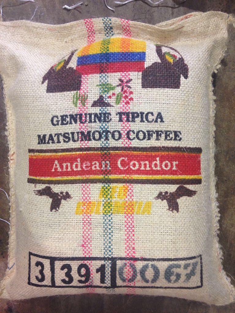 andeancondor
