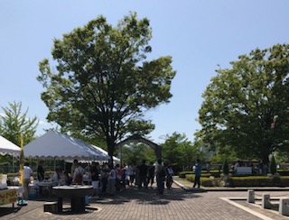 水の科学