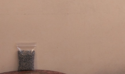 beans