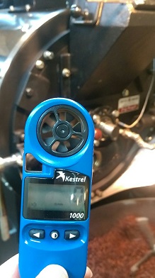 kestrel