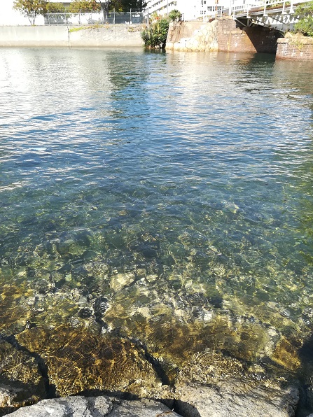btrhdr