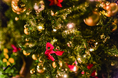 webchristmas